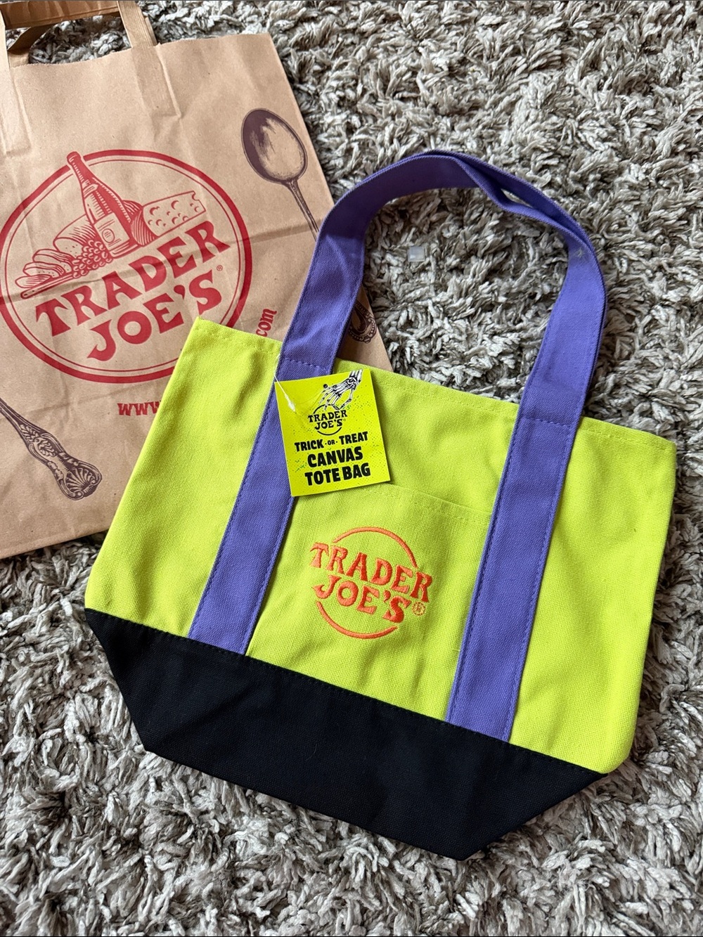 Trader Joe's Multicolor Green & Purple Mini Canvas Tote